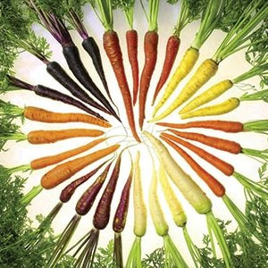 carrot colors.jpg